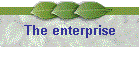 The enterprise